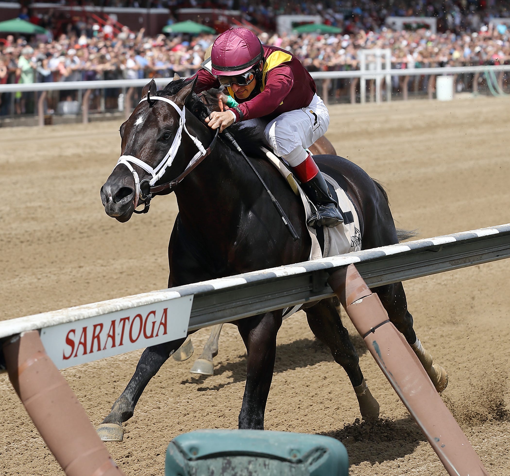 Phi Beta Express earns right to step up for Allen Jerkens Memorial